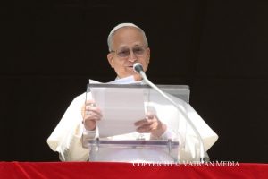 Angelus du 25 janvier 2026 © Vatican Media
