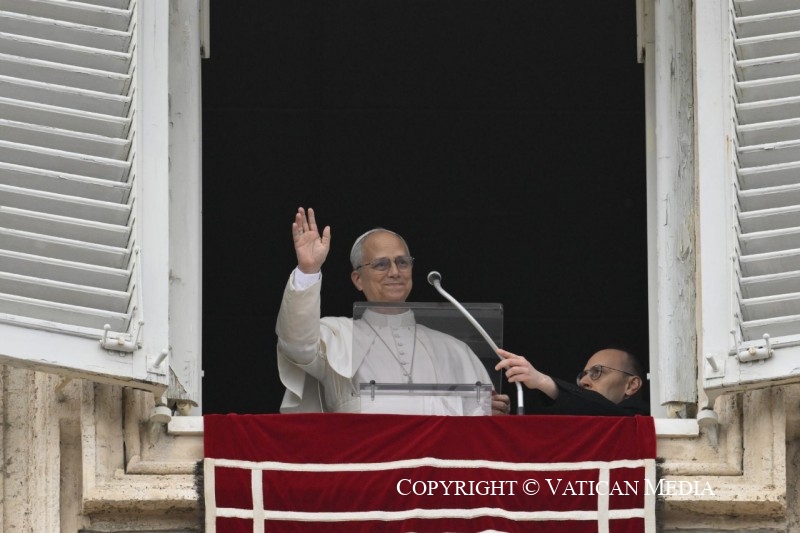 Angélus du 18 janvier 2026 © Vatican Media