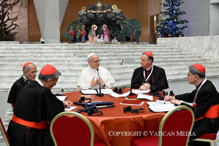 Consistoire extraordinaire : évangélisation et synodalité - 7 titres ...