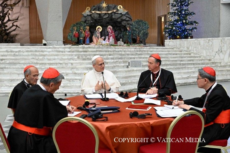"Je compte sur vous" a dit le pape à ses cardinaux © Vatican Media 
