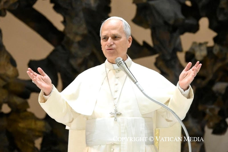 Audience générale, 21 janvier 2026 © Vatican Media 