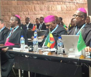 Participants à l’événement parallèle de haut niveau du SCEAM en partenariat avec l’Union africaine sur la durabilité de l’eau et l’assainissement le 7 février 2026 à Addis-Abeba © SCEAM