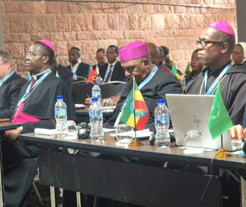 Participants à l’événement parallèle de haut niveau du SCEAM en partenariat avec l’Union africaine sur la durabilité de l’eau et l’assainissement le 7 février 2026 à Addis-Abeba © SCEAM