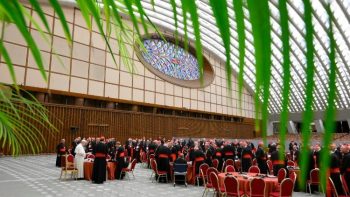 Le pape présente la prochaine réunion comme un moment de discernement plutôt que de décision © Vatican Media