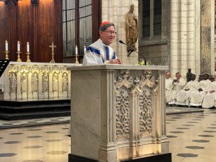 Cardinal Tagle © Agence Fides 