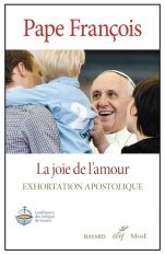Rencontre internationale en octobre 2026 : un enjeu pour l'accompagnement pastoral des familles © eglise.catholique.fr