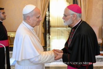 Audience à la délégation de la Société de Saint-Vincent-de-Paul des États-Unis d'Amérique 28 août 2026 © Vatican Media