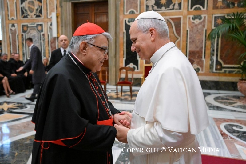 Discours du pape Léon XIV aux participants à la Conférence d'études organisée per le Dicastère des Causes des Saints, 16 septembre 2026 © Vatican Media