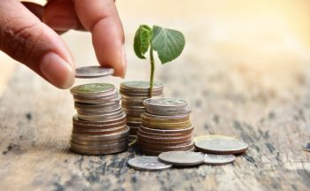 le Conseil économique de la Province a proposé au définitoire d’orienter nos réserves vers des placements éthiques en cohérence avec les principes environnementaux et sociétaux de l’Encyclique Laudato si’.