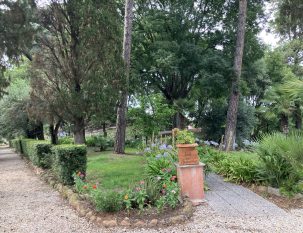 "Réveiller le sens de la beauté, de la sérénité et de la nécessité de prendre soin de tout ce qui existe en nous et autour de nous" © Anne van Merris